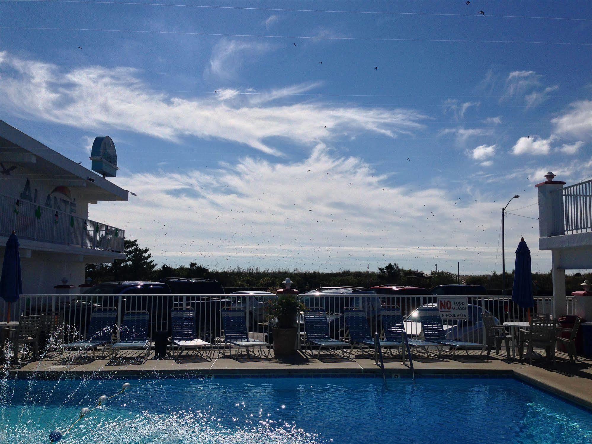 Alante Oceanfront Motor Hotel North Wildwood Luaran gambar